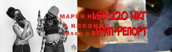 амф Арсеньев