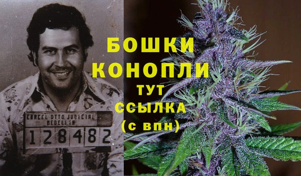СК Аркадак