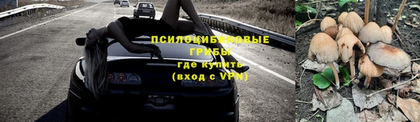 амф Арсеньев