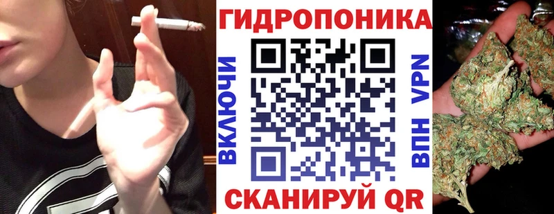 ссылка на мегу зеркало  даркнет сайт  Осташков  Шишки марихуана ГИДРОПОН 